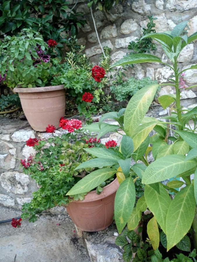 Apartament Eli's Saranda